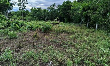 1991sqm clean title lot in Danao Panglao Bohol walking distance to the beach