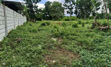 1991sqm clean title lot in Danao Panglao Bohol walking distance to the beach