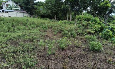 1991sqm clean title lot in Danao Panglao Bohol walking distance to the beach