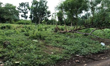1991sqm clean title lot in Danao Panglao Bohol walking distance to the beach