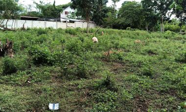 1991sqm clean title lot in Danao Panglao Bohol walking distance to the beach