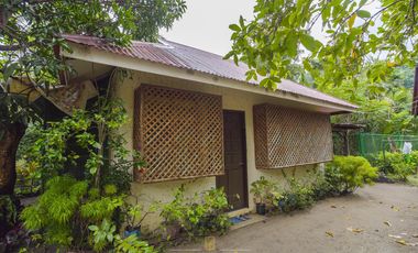 Secluded Beachfront Estate with 75m Shoreline | Palompon Leyte