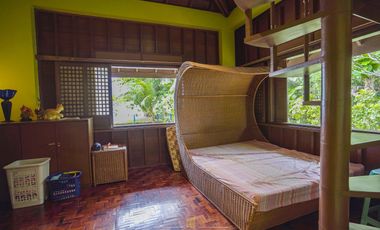 Secluded Beachfront Estate with 75m Shoreline | Palompon Leyte