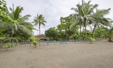 Secluded Beachfront Estate with 75m Shoreline | Palompon Leyte