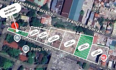 FOR LEASE: Commercial Lots in Caruncho Avenue, Pasig City 5,248.52 sqm