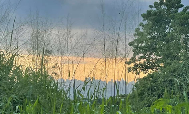 Lot for Sale at Palos Verdes Antipolo