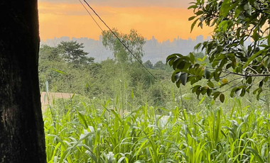 Lot for Sale at Palos Verdes Antipolo