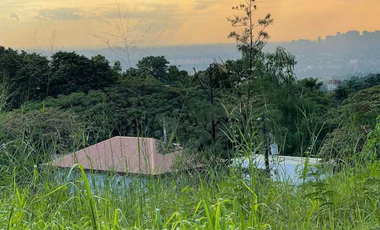 Lot for Sale at Palos Verdes Antipolo
