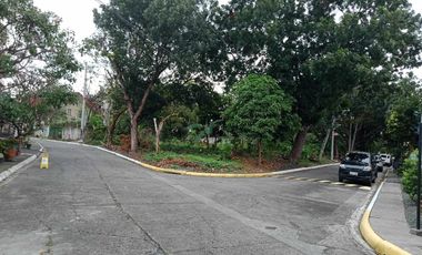 Corner Lot For Sale in Marcelo Green Village Parañaque