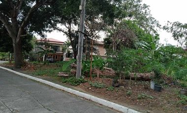 Corner Lot For Sale in Marcelo Green Village Parañaque