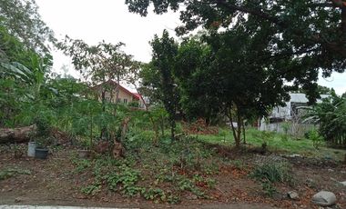 Corner Lot For Sale in Marcelo Green Village Parañaque