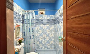 For Sale: Two Storey House & Lot in DMCI Homes Willow Park Homes Cabuyao, Laguna