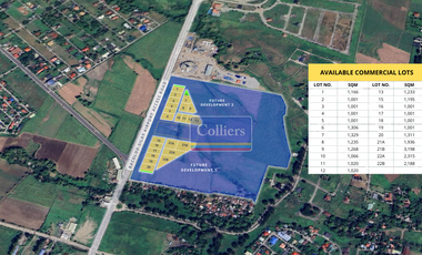 For Sale: Saludad Commercial Lots in Bacolod