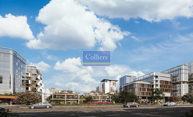 For Sale: Saludad Commercial Lots in Bacolod