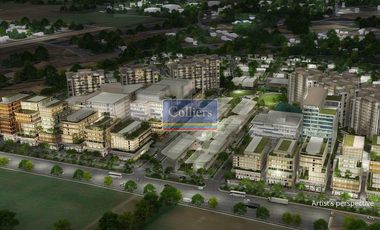 For Sale: Saludad Commercial Lots in Bacolod
