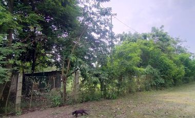 Foreclosed Property - 816sqm Lot for sale in Sito Malinta, Dasmariñas, Cavite