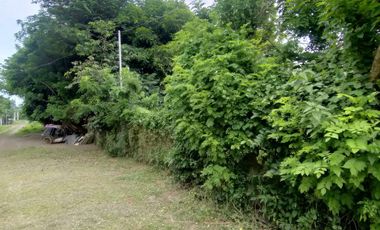 Foreclosed Property - 816sqm Lot for sale in Sito Malinta, Dasmariñas, Cavite