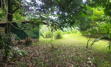 Foreclosed Property - 816sqm Lot for sale in Sito Malinta, Dasmariñas, Cavite