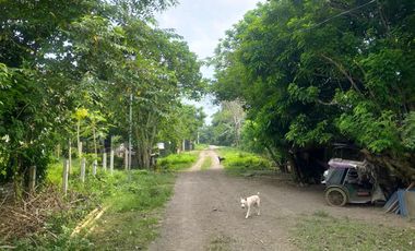 Foreclosed Property - 816sqm Lot for sale in Sito Malinta, Dasmariñas, Cavite