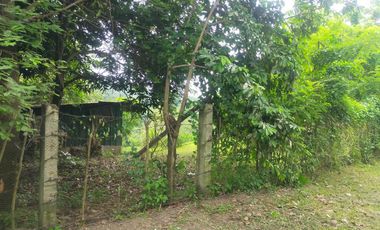 Foreclosed Property - 816sqm Lot for sale in Sito Malinta, Dasmariñas, Cavite