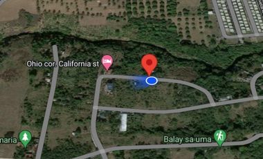 Foreclosed Property - 816sqm Lot for sale in Sito Malinta, Dasmariñas, Cavite