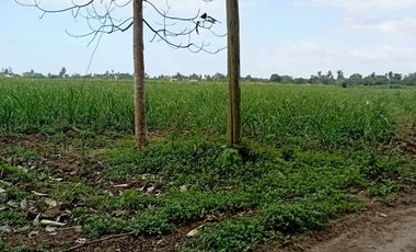 Vacant Lot for Sale!!! Tanjay City, Negros Oriental