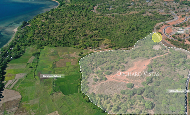 Lot for Sale with Sea and Mountain View in Exclusive Anvaya Cove Bataan