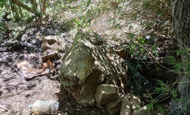 SE VENDE TERRENO DE 4.5  HECTÁREAS EN ALTOS DE SAN JOSÉ