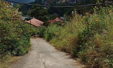 215 sqm Lot at Baguio City