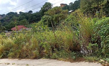 215 sqm Lot at Baguio City