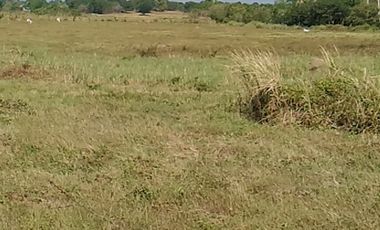 Lot for Lease Rent at Kawit Cavite near CAVITEX 4,469 square meters