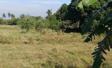 Lot for Lease Rent at Kawit Cavite near CAVITEX 4,469 square meters