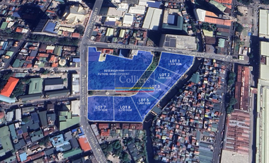Commercial Lot for sale in Barangay 5, Manila