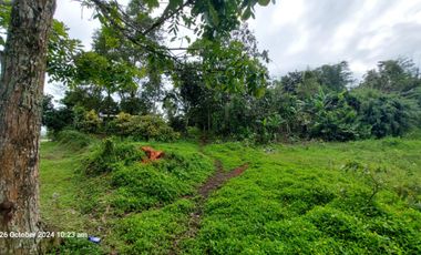 LOT FOR SALE LANISE CLAVERIA MISAMIS ORIENTAL