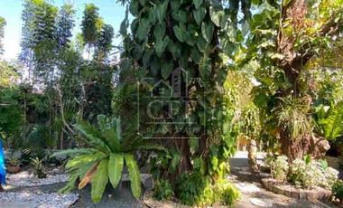 Elegant Retirement Compound Villa  w/ Pool near SM Urdaneta