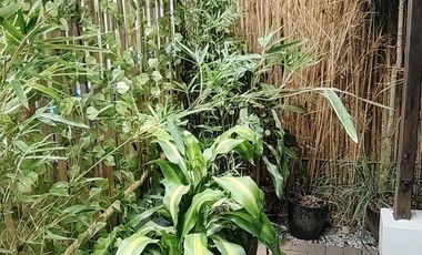 FOR SALE Profitable Airbnb House & Lot Tagaytay Perfect for Business & Leisure!