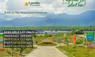 Prime Residential Lot in Camella Palawan - Only Four (4) Lots Available