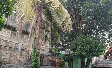 For Sale and Rent Residential Apartment in Del Nacia 4 Subd., Sauyo Quezon City