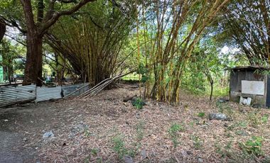 For Sale and Rent Two (2) Hectares Vacant Lot in Sauyo Novaliches Quezon City