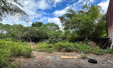 For Sale and Rent Two (2) Hectares Vacant Lot in Sauyo Novaliches Quezon City