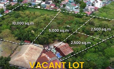 For Sale and Rent Two (2) Hectares Vacant Lot in Sauyo Novaliches Quezon City