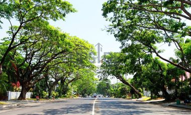 For Sale 875sqm Lot in Ayala Alabang Village