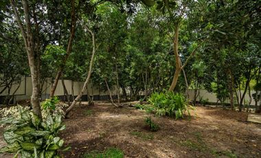 For Sale House Fully Furnished in Dauis Panglao island Bohol with Swimming Pool