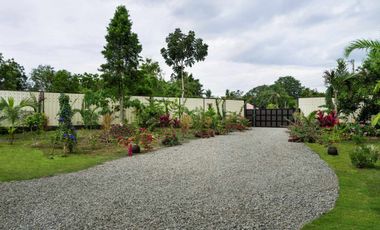 For Sale House Fully Furnished in Dauis Panglao island Bohol with Swimming Pool