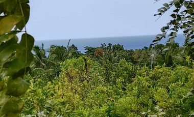 Overlooking 8,281sqm clean title lot n Tabalong Dauis Panglao Bohol 1200 per sqm