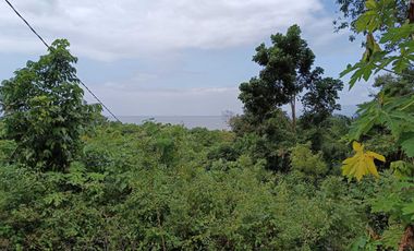 Overlooking 8,281sqm clean title lot n Tabalong Dauis Panglao Bohol 1200 per sqm