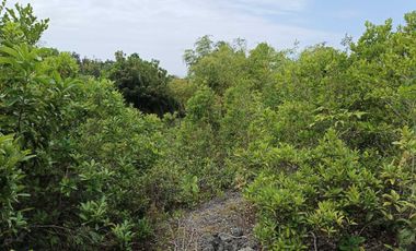Overlooking 8,281sqm clean title lot n Tabalong Dauis Panglao Bohol 1200 per sqm