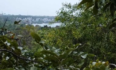 Overlooking 8,281sqm clean title lot n Tabalong Dauis Panglao Bohol 1200 per sqm