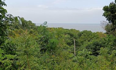 Overlooking 8,281sqm clean title lot n Tabalong Dauis Panglao Bohol 1200 per sqm