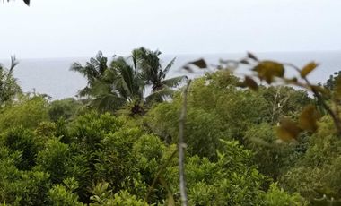 Overlooking 8,281sqm clean title lot n Tabalong Dauis Panglao Bohol 1200 per sqm